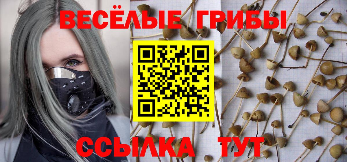 Псилоцибиновые грибы ЛСД  Вход с VPN  Красноармейск  Псилоцибиновые грибы MAGIC MUSHROOMS 
