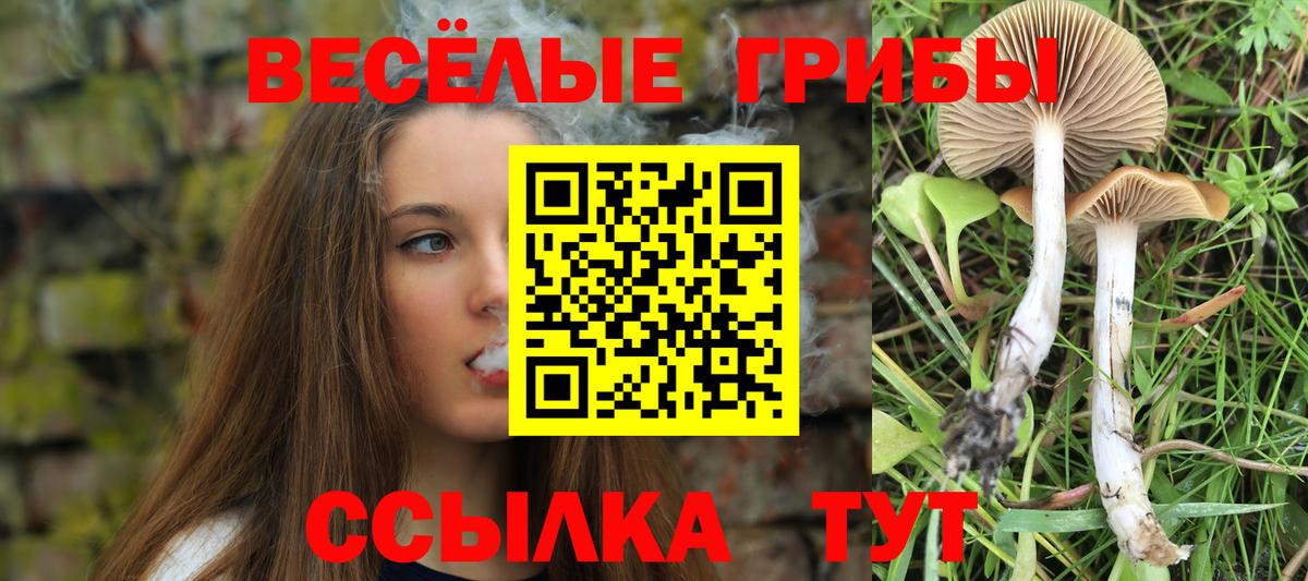 Галлюциногенные грибы GOLDEN TEACHER Красноармейск